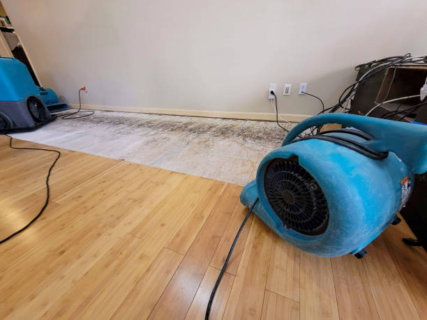 Professional Ceiling Water Damage Repair technician working in Empire, CO